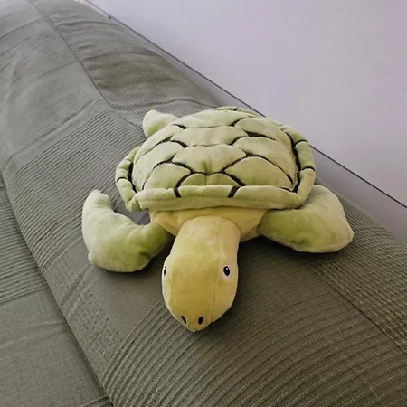 בית הארחה Infinity Collection פאדובה